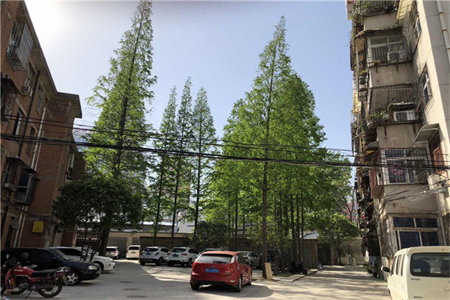 龙都新苑3室2厅1卫124㎡带车库带阁楼95万